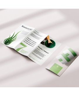 Graphic service: Brochures